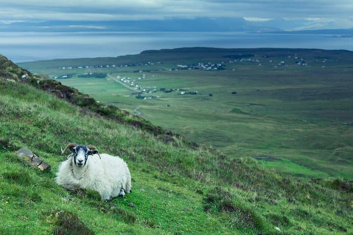 Private Tour of Loch Ness, Glencoe and Highlands from Glasgow