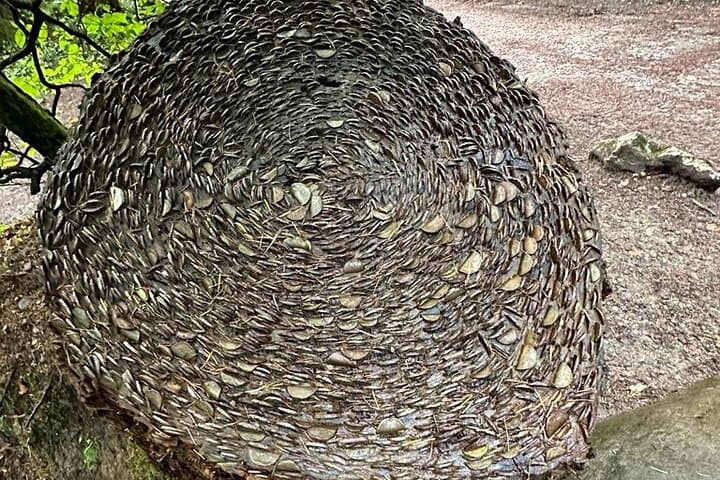 Wishing tree