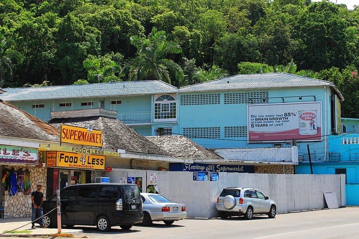 Full Day Private Shore Tour in Montego Bay from Falmouth Port