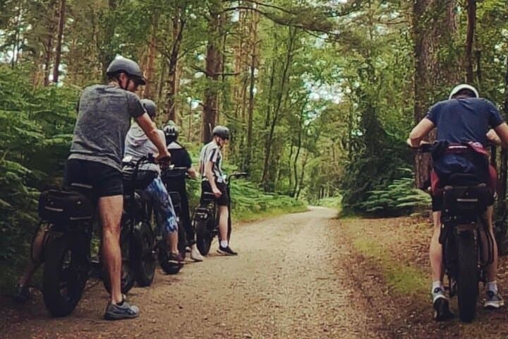 Explore the New Forest
