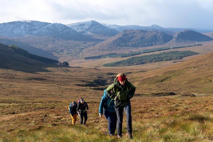 Highland Cow Hike in Edinburgh
