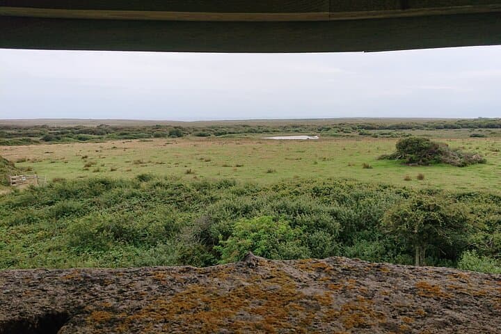 The view from The Lizard Windmill.