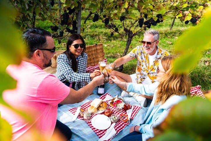 Sussex Vineyard & Winery Bus Tour on Iconic Vintage London Bus
