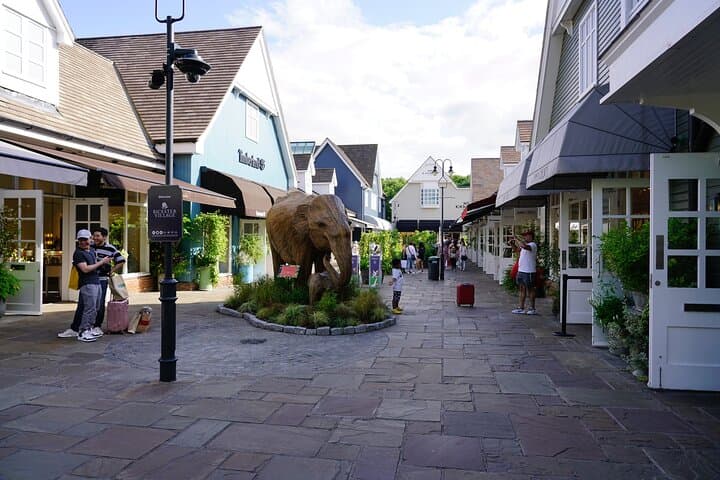 Private Shopping Tour from London to Bicester Village