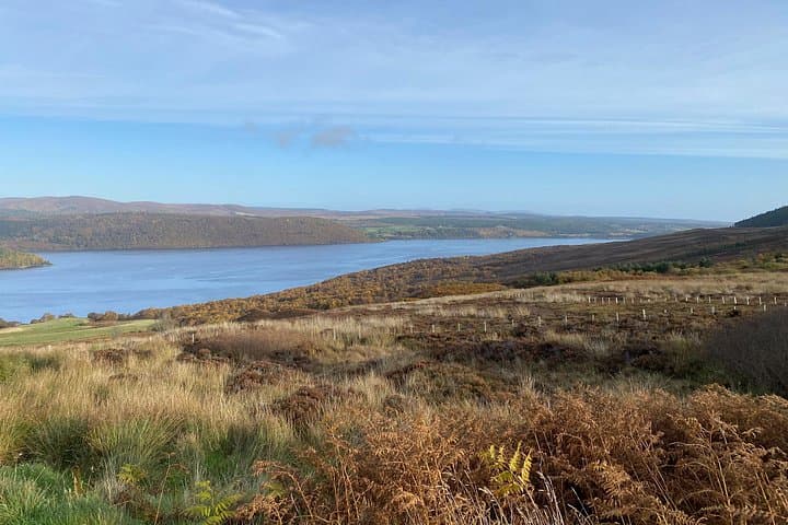 MILLIONAIRE VIEW POINT