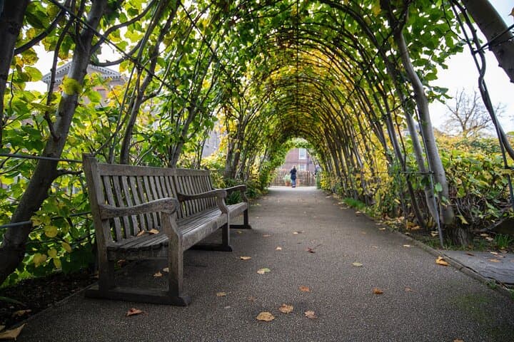 Kensington Palace Afternoon Tea with Entrance Ticket Option
