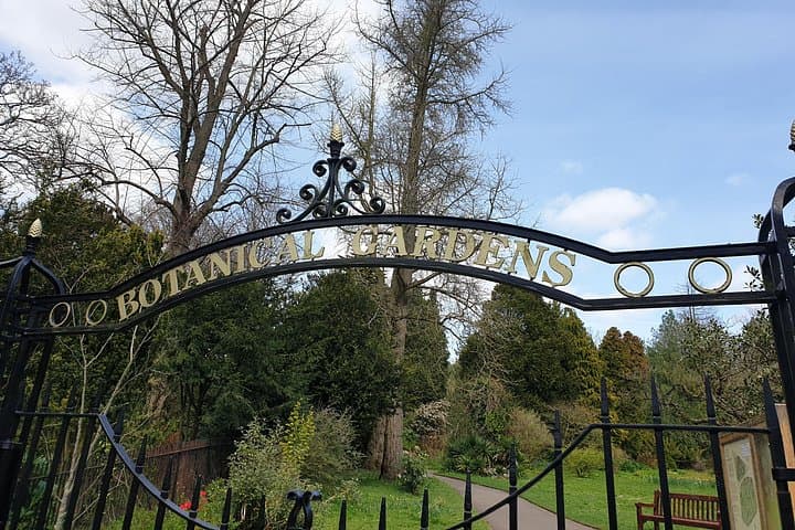 Bath - (4 hours) Extended Walking Tour - Blue Badge guide