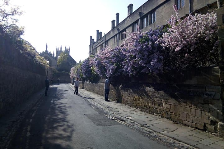 Queens lane in May and June