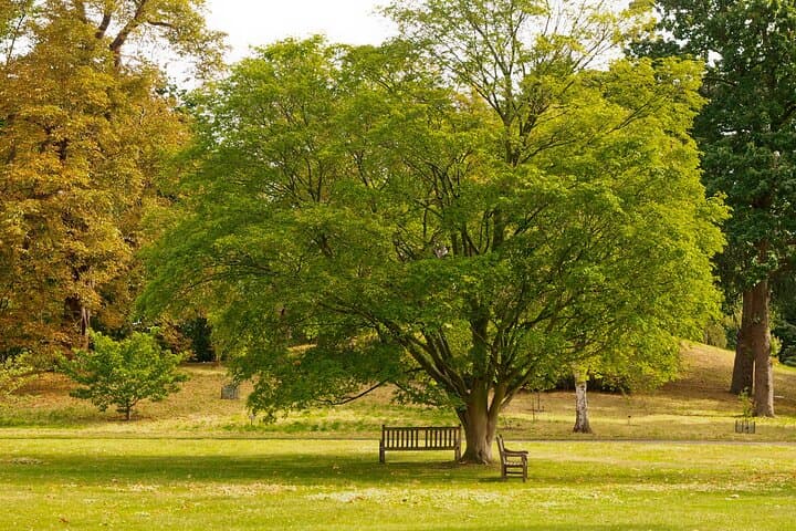 Romantic Walks in Roslin: A Scottish Love Story Private Tour
