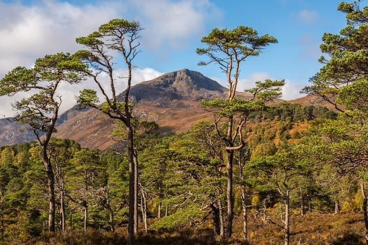 Meandering through The Highlands of Scotland (North)