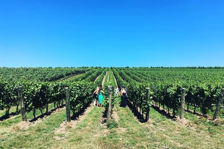 Full-Day Vintage Bus Wine Tour of Sussex from London