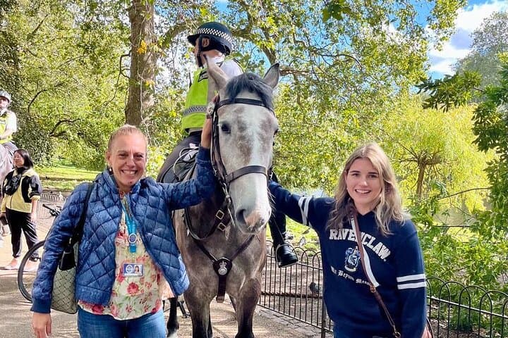 Private Tour Best of London, Tower of London, Churchill War Rooms
