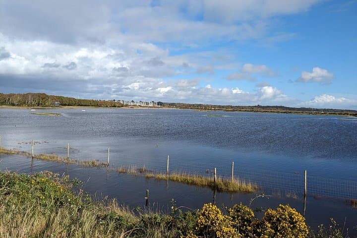 Lymington Wildlife Discovery Walk
