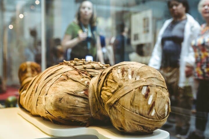 Tower of London, British Museum, NHM London VIP 2-Day Tour
