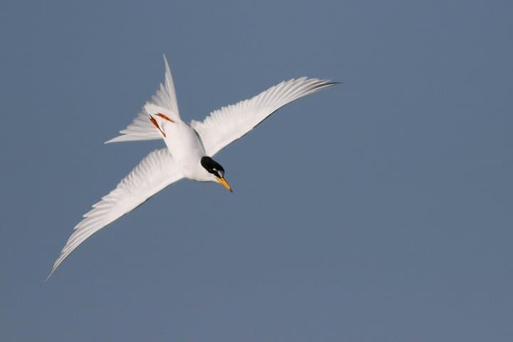 Lymington Wildlife Discovery Walk