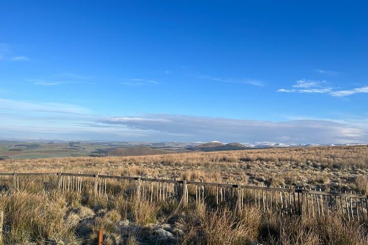 Full Day Trip Hadrian's Wall and The Borders from Edinburgh