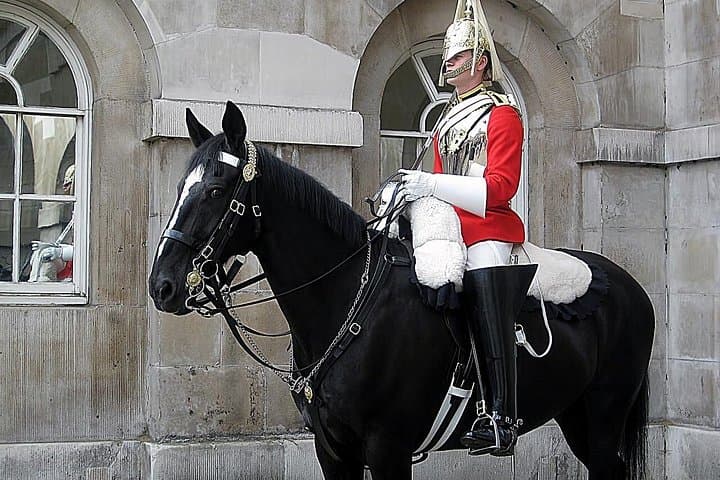 Changing of The Guards with Royal Walks