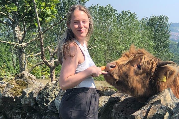 Highland Cows, Walk Alpacas & Scottish Wildlife Centre from Edin.