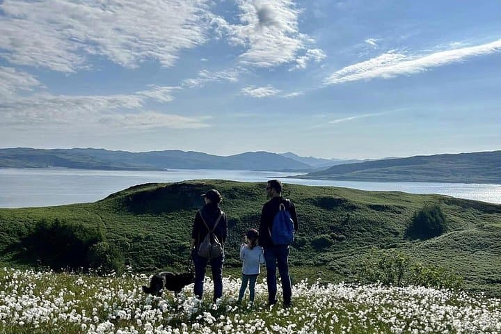 Cushioned by a carpet of swaying cotton grass