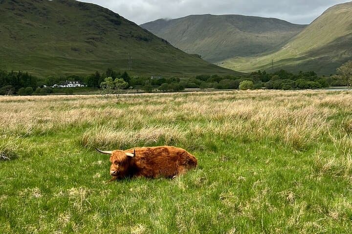 Private Tour to the Stunning Scottish Highlands & Glencoe