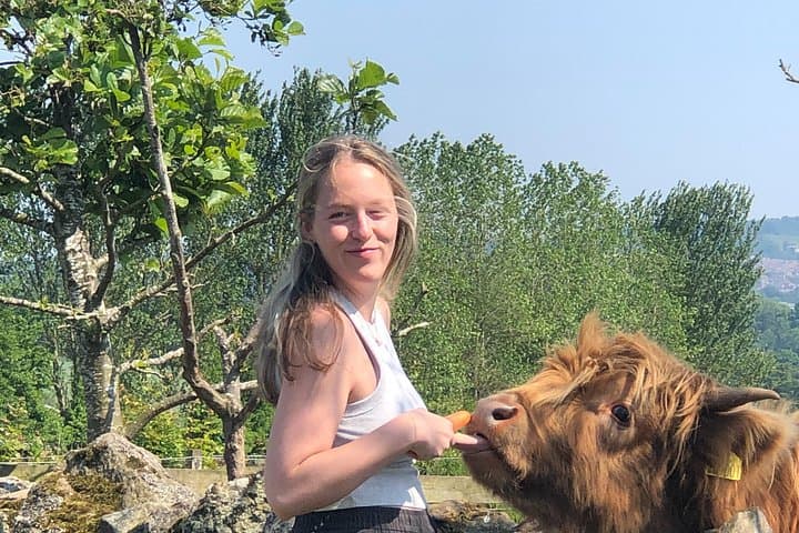 Highland Cows, Walk Alpacas, Scottish Wildlife Centre and Kelpies