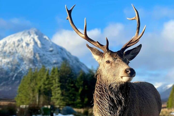 Scottish Highlands, Loch Ness and Glencoe Day Trip from Edinburgh