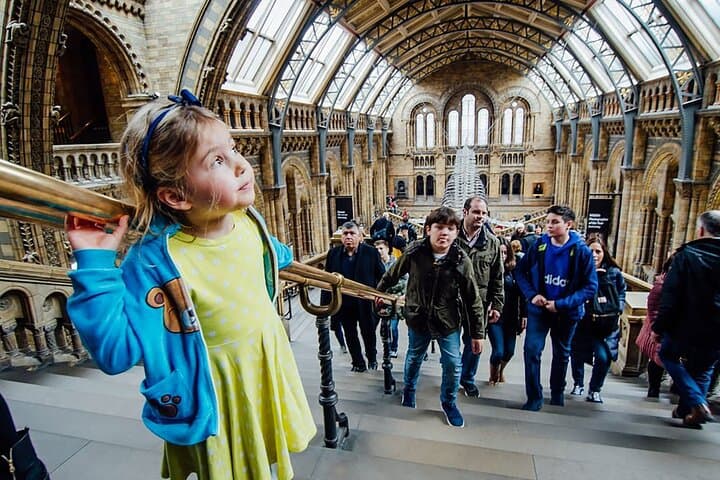 Natural History: Diplodocus, Blue Whale, Gems, Evolution Gallery