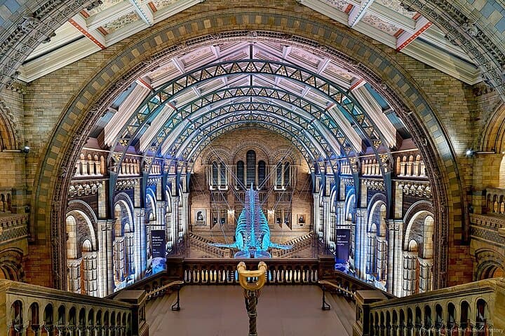 Natural History: Diplodocus, Blue Whale, Gems, Evolution Gallery