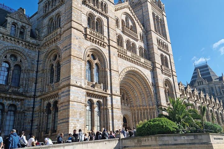 Natural History: Diplodocus, Blue Whale, Gems, Evolution Gallery