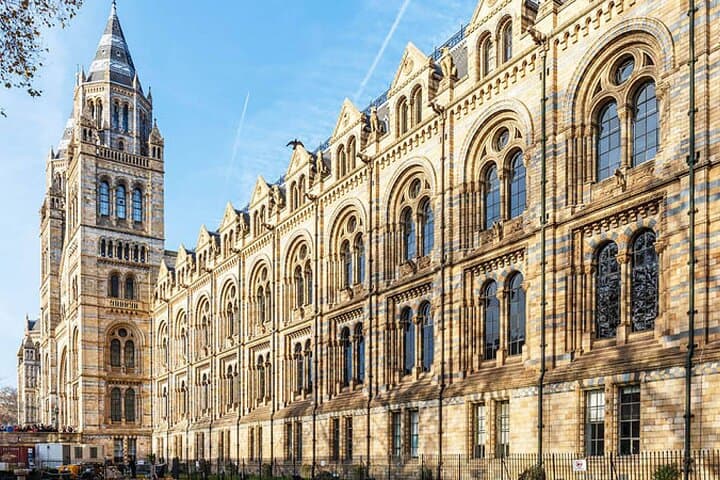 Natural History: Diplodocus, Blue Whale, Gems, Evolution Gallery
