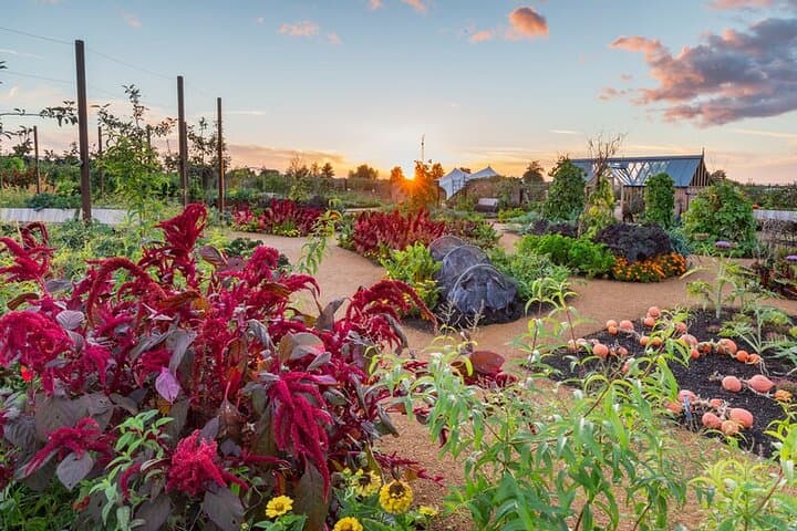 World Food Garden at RHS Hilltop, Garden Wisley