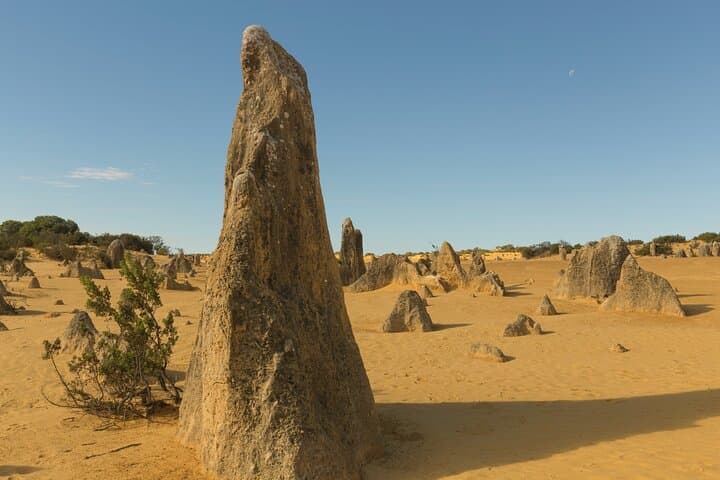 Private Walking Tour in Callanish Stone Circles Heritages