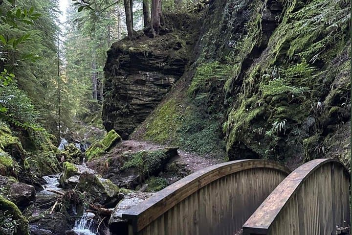 Pucks Glen