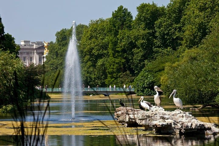 Inside Buckingham Palace State Rooms & Royal London Walking Tour