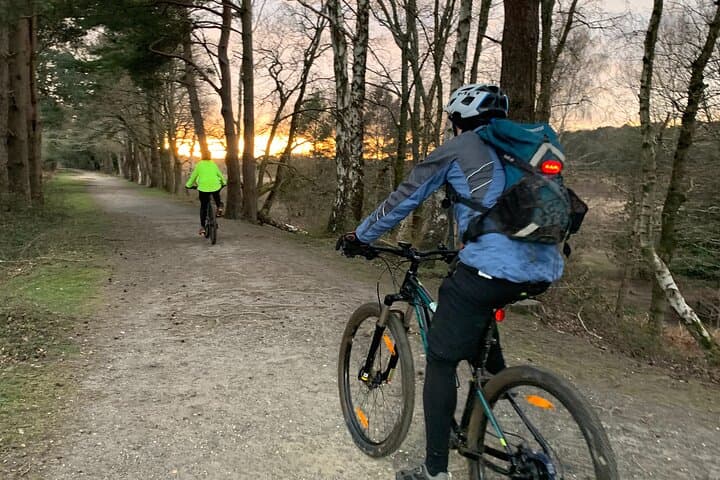 New Forest Sunset Bike Rides