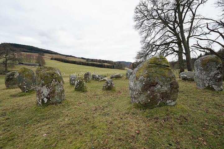 5000 year old standing stones near Kenmore