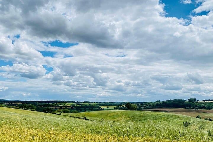 Rolling Hills