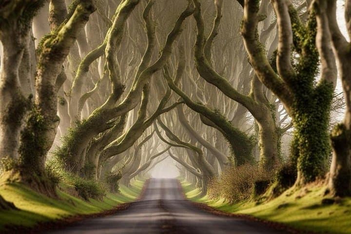 Private Giant's Causeway Day Trip and Game of Thrones Locations