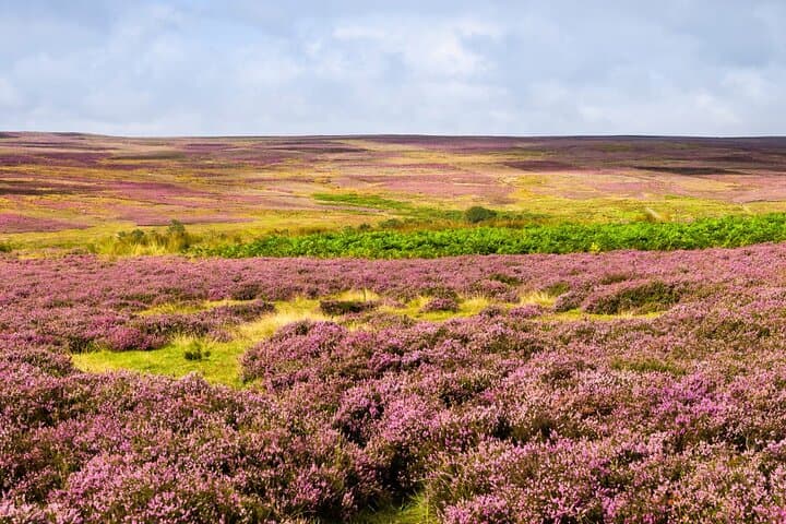 North York Moors National Park.