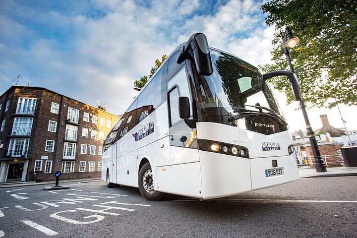 Stonehenge Shuttle Bus from London with Fish & Chips