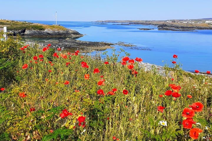 Trearrdur