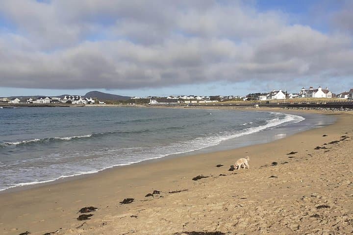 Trearddur