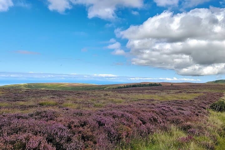 Northern Uplands