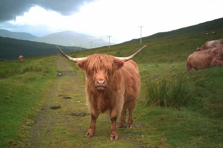 Edinburgh: Private Loch Ness Glencoe and The Highlands Tour