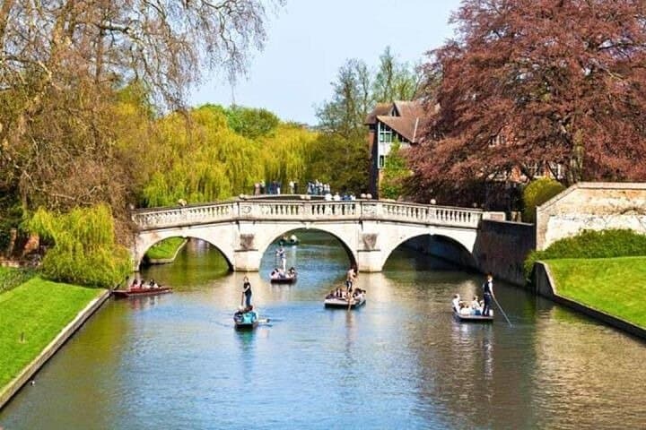 Wonderful Westminster Private Walking Tour & Visit Windsor Castle