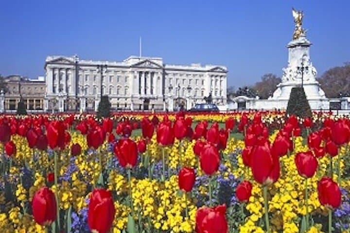Wonderful Westminster Private Walking Tour & Visit Windsor Castle