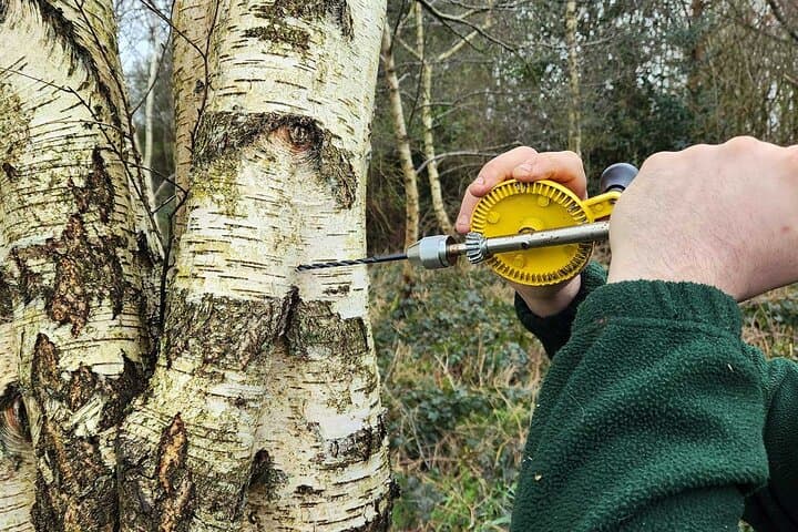 Adult Foraging Walk & Bushcraft Cookery Course for Beginners
