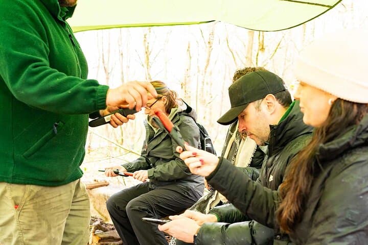 Adult Foraging Walk & Bushcraft Cookery Course for Beginners