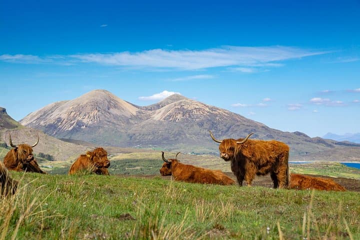Isle of Skye&Eilean Donan Castle Executive Private Tour-Inverness