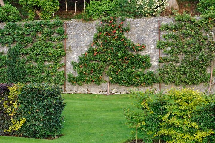 Private Tour - Irish Walled Garden, Nature & Giants Causeway